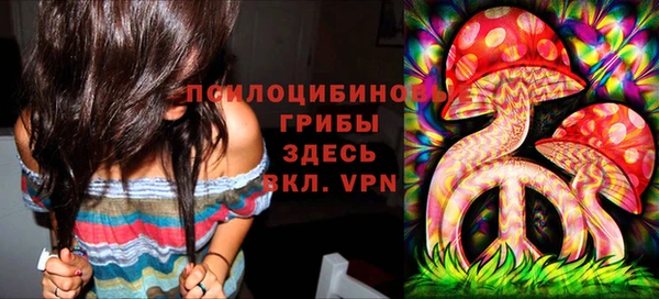 метадон Беломорск