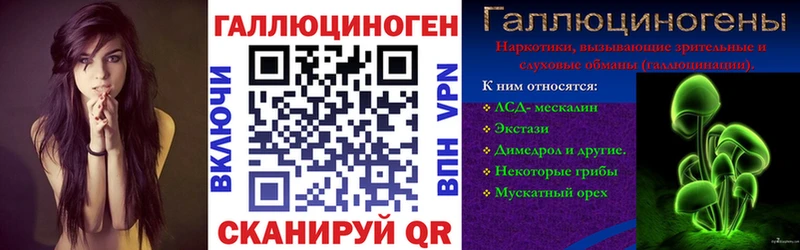 дарнет шоп Салаир Галлюциногенные грибы мухоморы